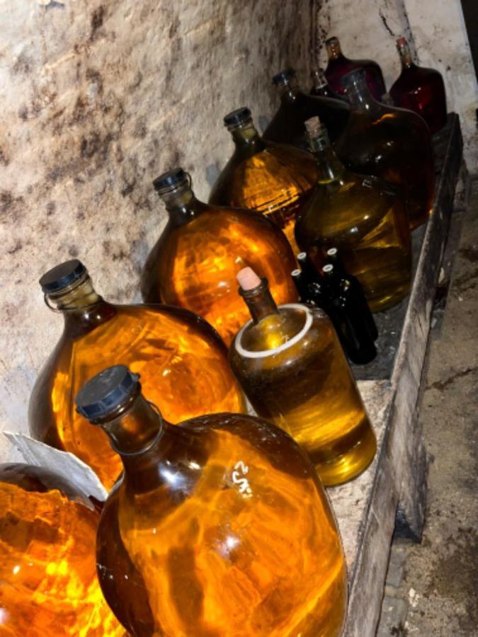 Ubytovani U Dedy Moravská Nová Ves エクステリア 写真