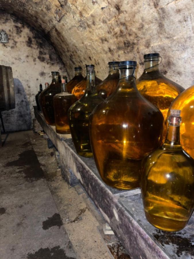 Ubytovani U Dedy Moravská Nová Ves エクステリア 写真